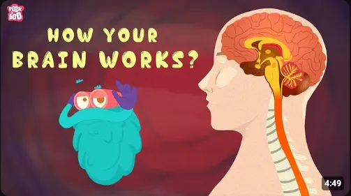 A still from the original English lesson video.